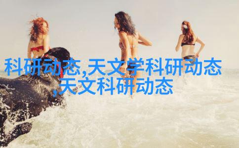 可行性研究报告