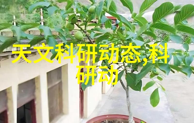 图1: 大型钢制反映 采金
