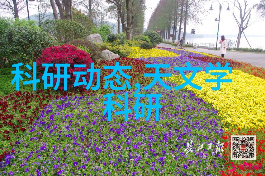 天文图吧_天文图碑_天文图碑拓片