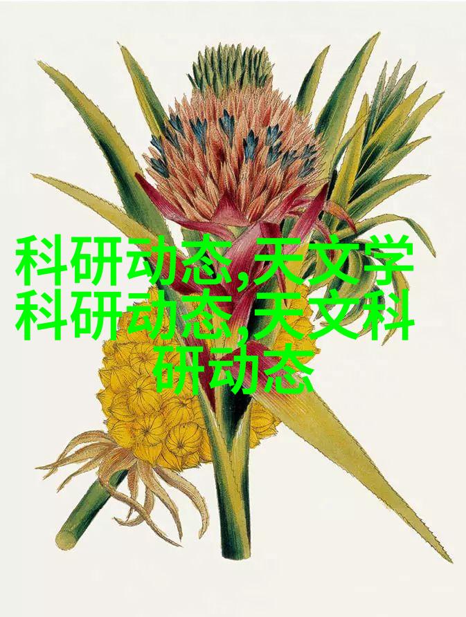 天文研究报告_学术天文报告怎么写_天文学术报告
