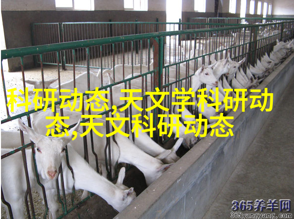 天文学研究_天文学科研动态_天文学科研工作