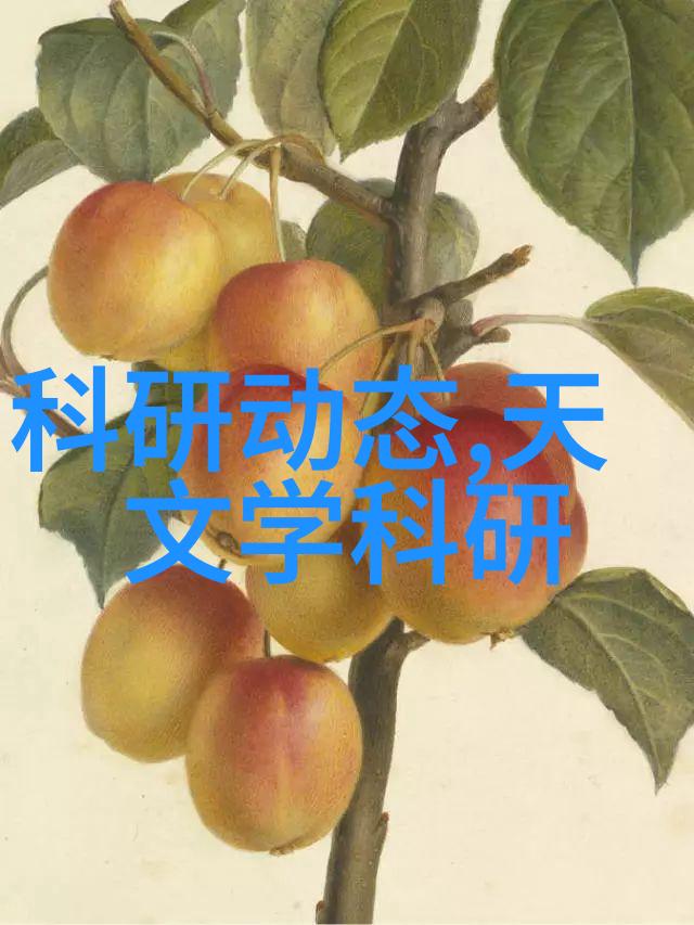 天文学术报告_天文研究报告_学术天文报告怎么写
