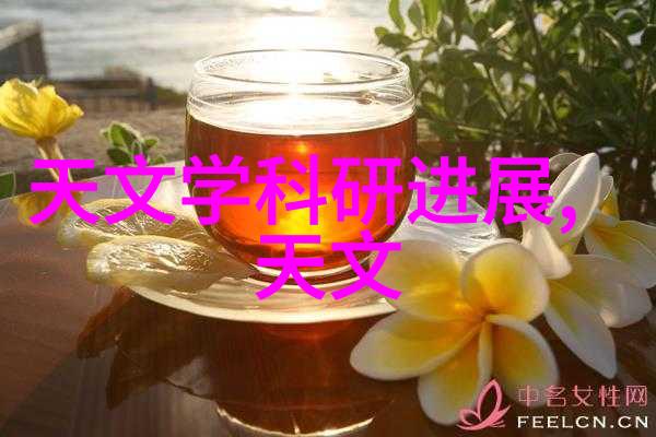 天文学学术期刊_学术天文报告怎么写_天文学术报告