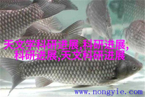 hdpe接头连接方式